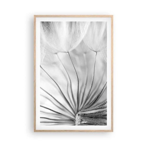 Plakat w ramie jasny dąb - Dmuchawce, latawce - 61x91 cm