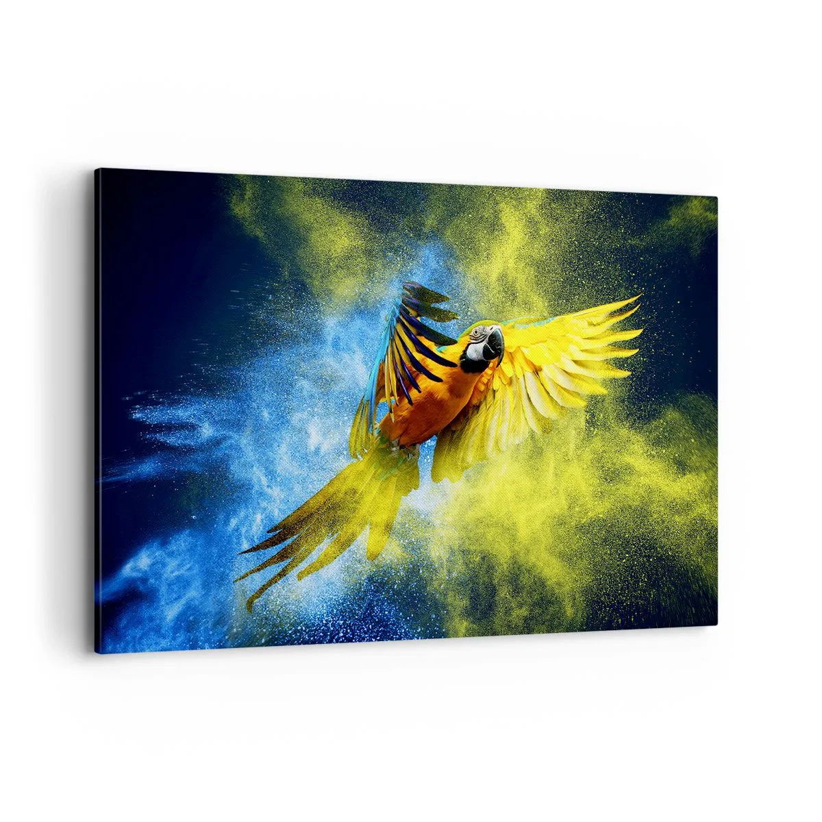 Obraz na płótnie - Papuga w locie na tle kolorowych eksplozji żółtego i niebieskiego - 120x80cm - W błękitno-złotym pyle - Nowoczesna dekoracja ścienna do salonu, kuchni i sypialni ARTTOR