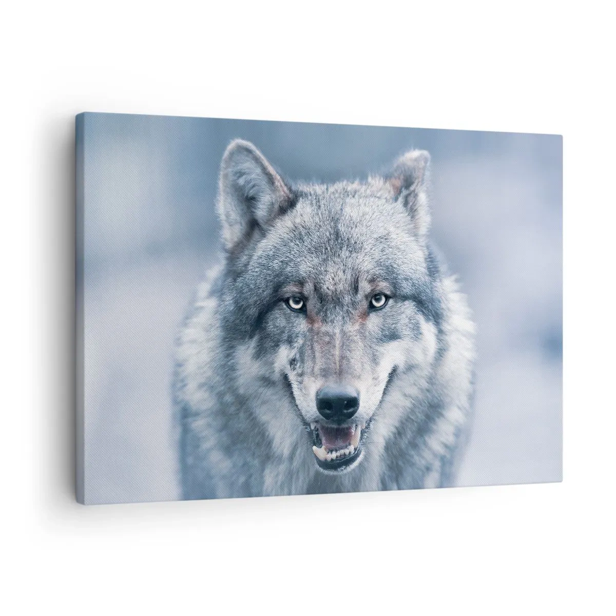 Obraz na płótnie - Wilk z intensywnym spojrzeniem w zimowym krajobrazie - 70x50cm - Podejmiesz wyzwanie? - Nowoczesna dekoracja ścienna do salonu i sypialni ARTTOR