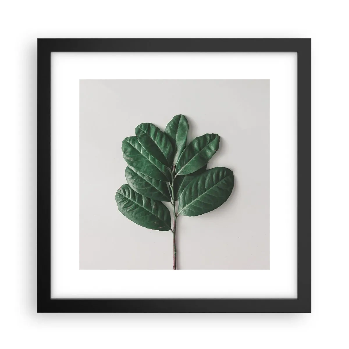 Plakat w czarnej ramie - Rysunek samej natury - 30x30 cm