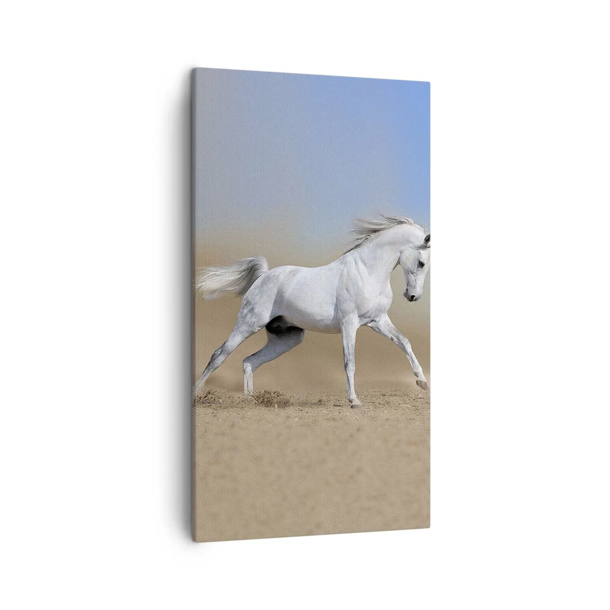 Obraz na płótnie - Najpiękniejsza arabska baśń - 45x80 cm