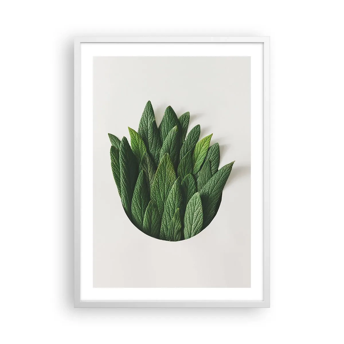 Plakat w białej ramie - Nieposkromiona ciekawość - 50x70 cm