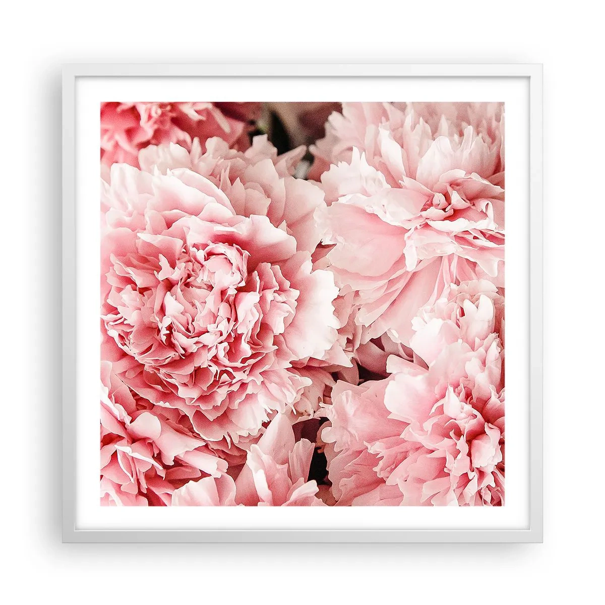 Plakat w białej ramie - Różowe marzenie - 60x60 cm