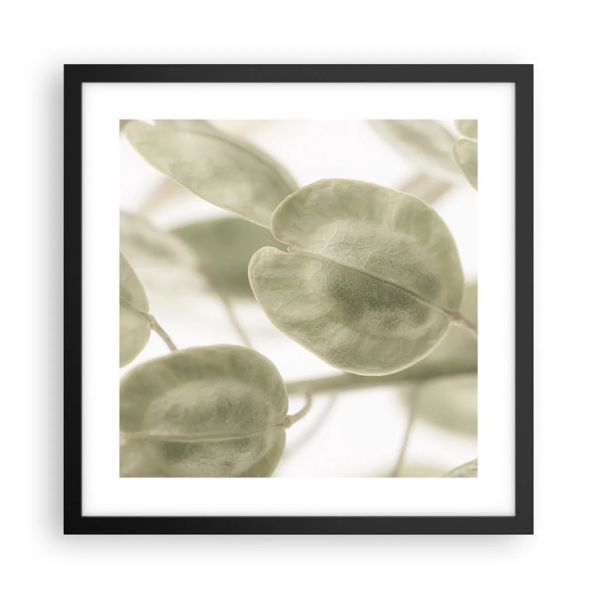 Plakat w czarnej ramie - Na początku były listki… - 40x40 cm