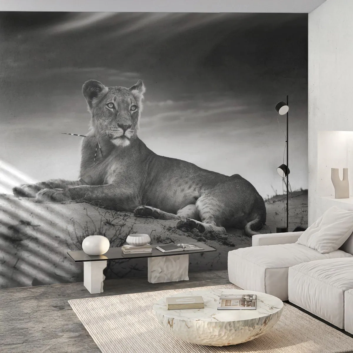 Fototapeta Premium Sand - Odpoczynek królowej pustyni - Zwierzęta, Lew, Pustynia - 450x315 cm