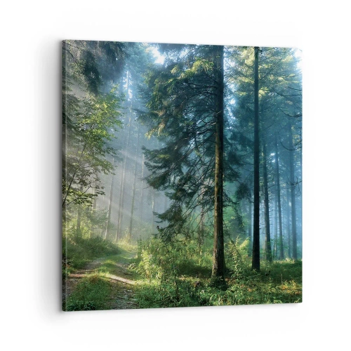 Obraz na płótnie - Rozpromieniony o poranku - 60x60 cm