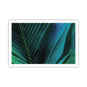 Plakat - Anatomia zieleni - 91x61 cm