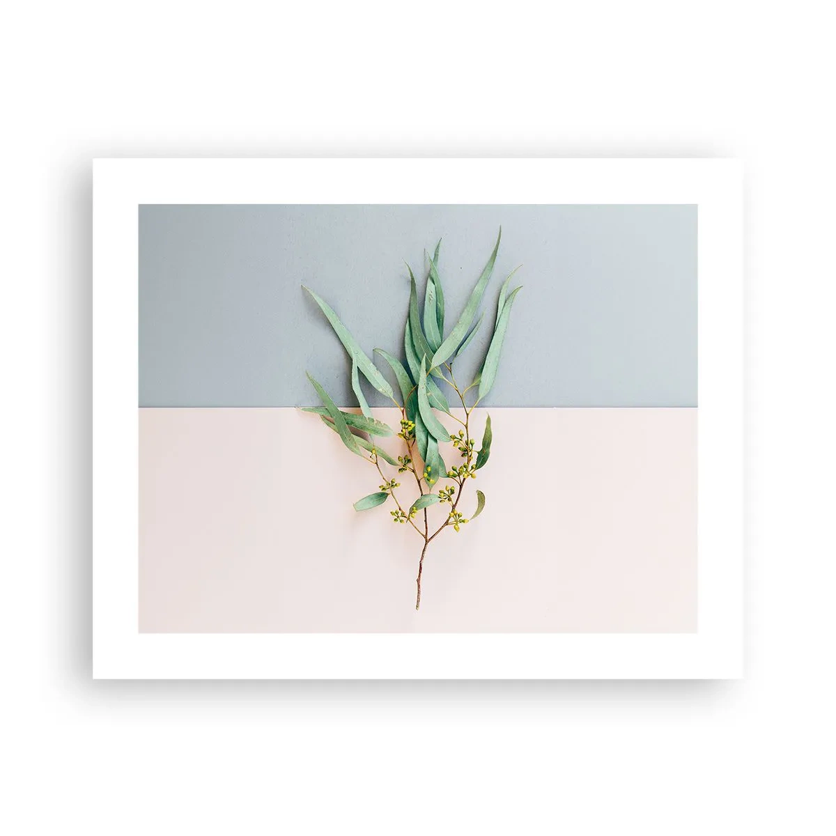 Plakat - Pastelowa subtelność - 50x40 cm