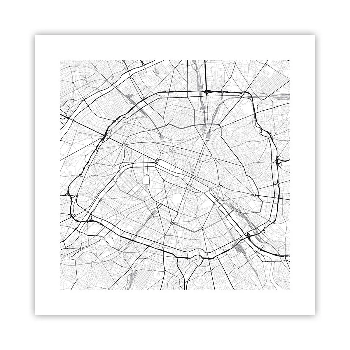 Plakat - Kwiat Paryża - 40x40 cm