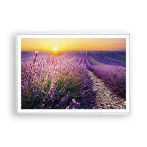 Plakat w białej ramie - Pachnący łan - 100x70 cm