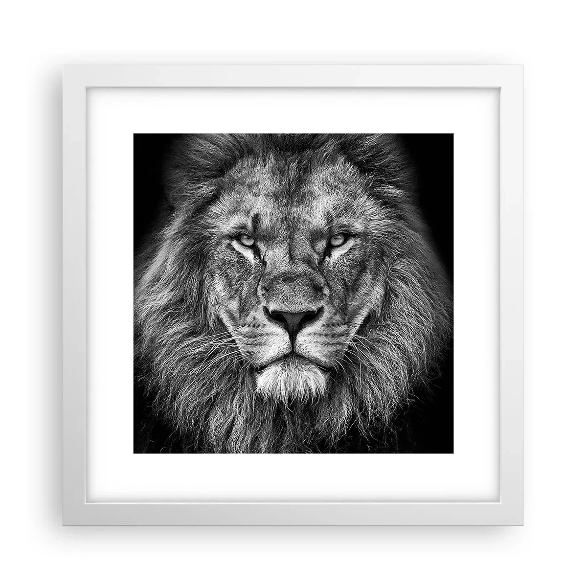 Plakat w białej ramie - W stroju koronacyjnym - 30x30 cm