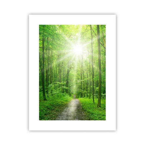 Plakat - Zielona katedra - 30x40 cm