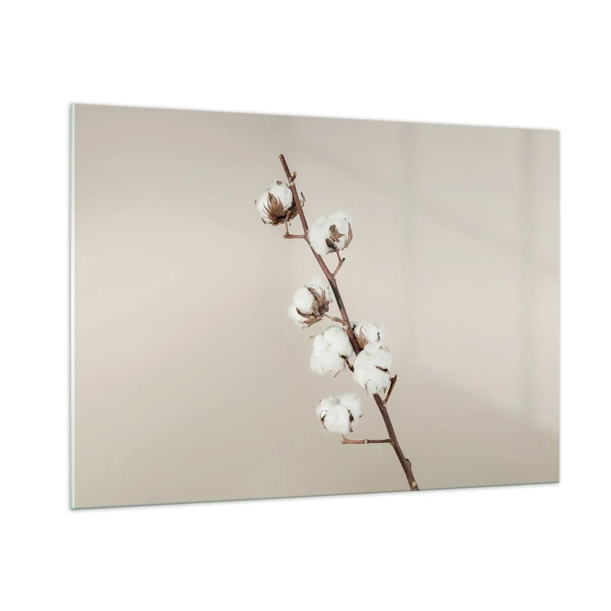Obraz na szkle - Gałązka bawełny na jasnym, minimalistycznym tle - 100x70cm - U źródła miękkości - Nowoczesna dekoracja ścienna do salonu, kuchni i sypialni ARTTOR