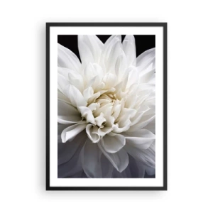 Plakat w czarnej ramie - Zbliżenie na białą dalię na ciemnym tle - 50x70cm - Poranek Panny Młodej - Nowoczesna dekoracja ścienna do salonu i sypialni ARTTOR