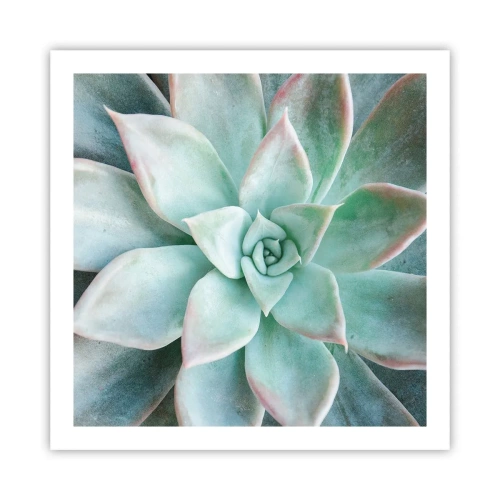 Plakat - Serce pustyni - 60x60 cm