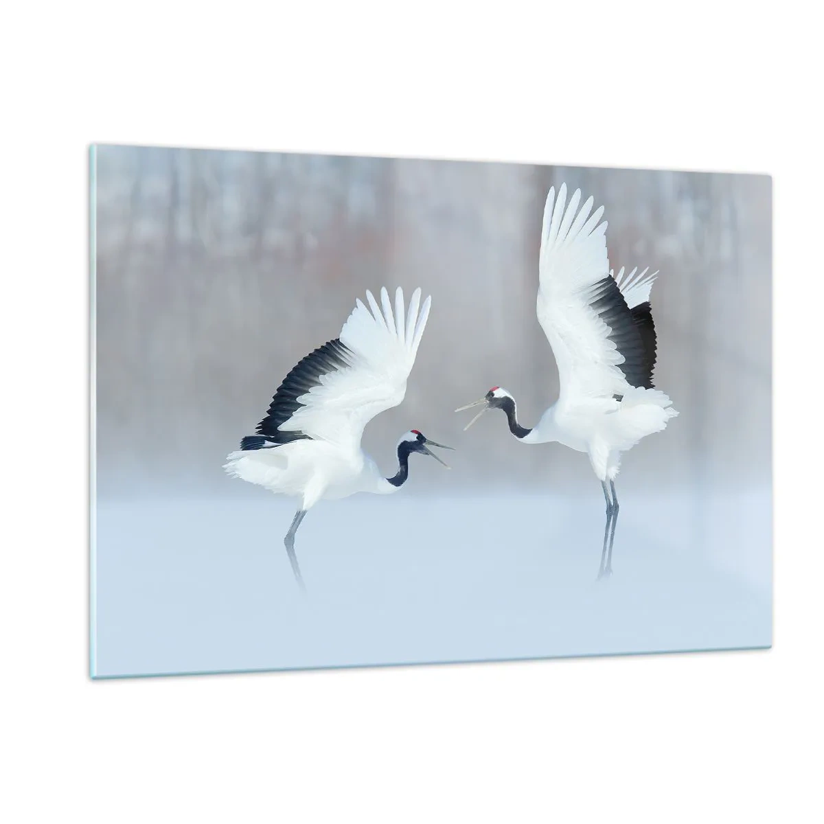 Obraz na szkle - Tańczące żurawie na tle zimowego krajobrazu - 120x80cm - Taniec we mgle - Nowoczesna dekoracja ścienna do salonu, kuchni i sypialni ARTTOR