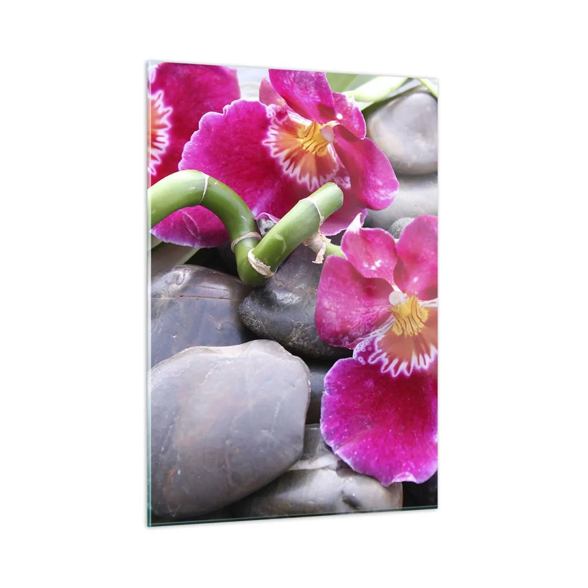 Obraz na szkle - Różowe orchidee z bambusem na kamieniach - 50x70cm - Chłód i żar - Nowoczesna dekoracja ścienna do salonu, kuchni i sypialni ARTTOR