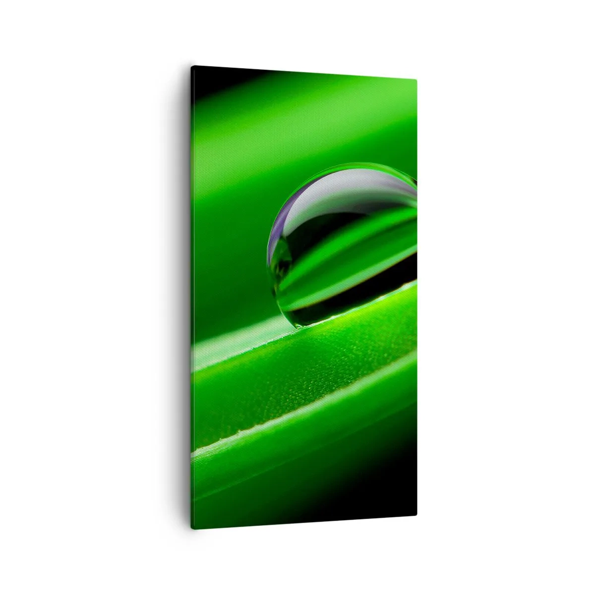 Obraz na płótnie - Życie z bliska - 55x100 cm