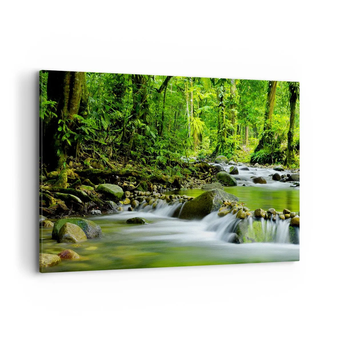 Obraz na płótnie - Strumień w lesie tropikalnym z bujną zielenią - 120x80cm - Popłynąć w morzu zieleni - Nowoczesna dekoracja ścienna do salonu, kuchni i sypialni ARTTOR