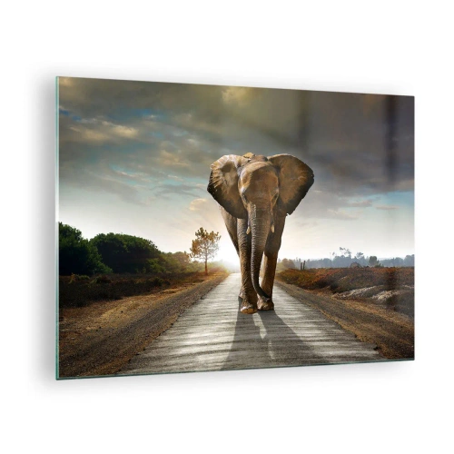 Obraz na szkle - Słoń spacerujący po drodze o zachodzie słońca - 70x50cm - I wcale nie w składzie porcelany - Nowoczesna dekoracja ścienna do salonu i sypialni ARTTOR