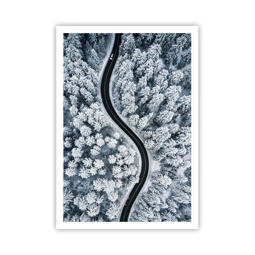 Plakat - Przez zimowy las - 70x100 cm