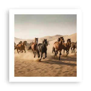 Plakat - Wolne jak wiatr - 50x50 cm