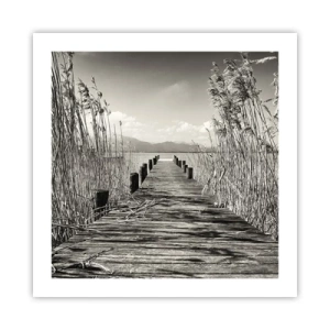 Plakat - W zaciszu traw - 50x50 cm