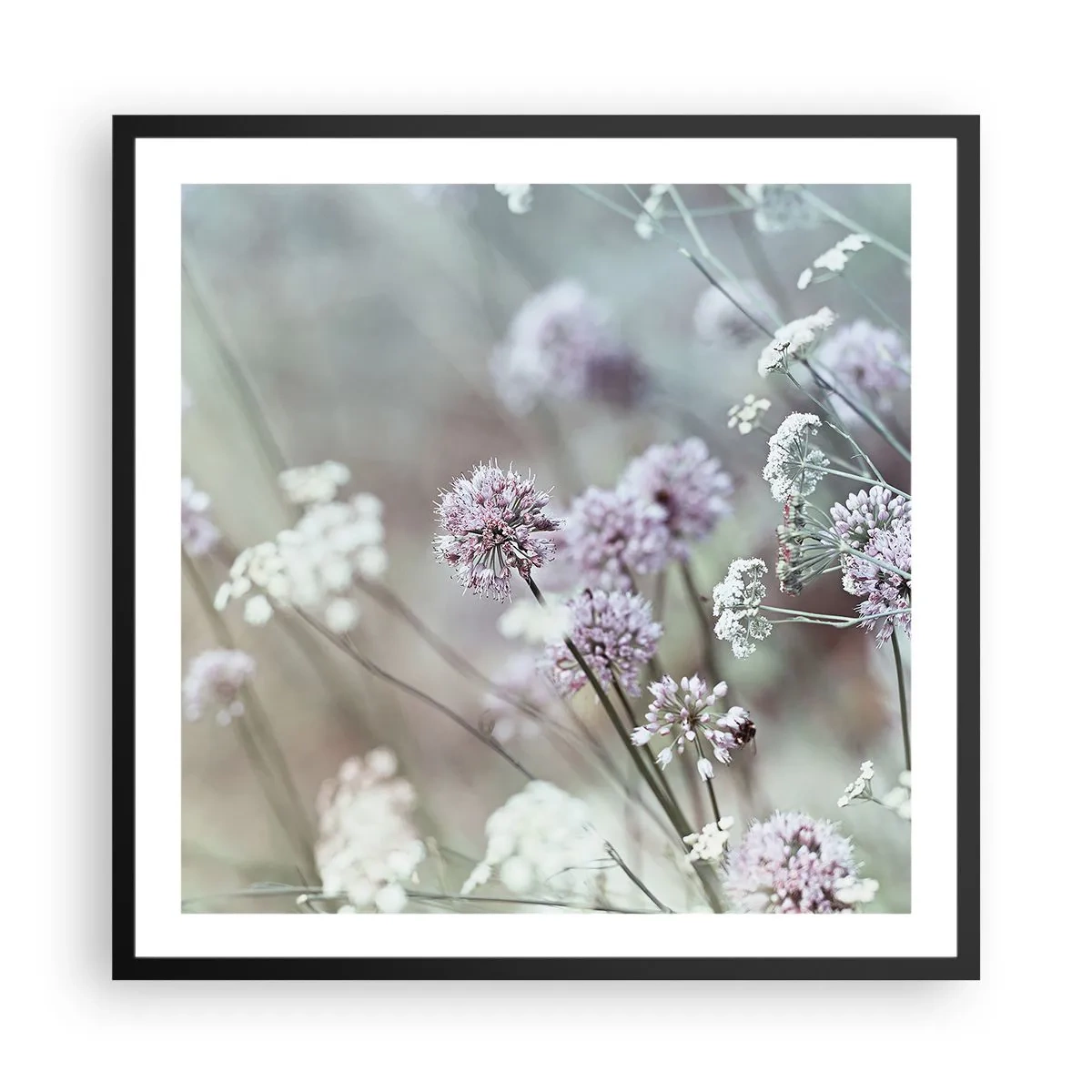 Plakat w czarnej ramie - Słodkie filigrany ziół - 60x60 cm
