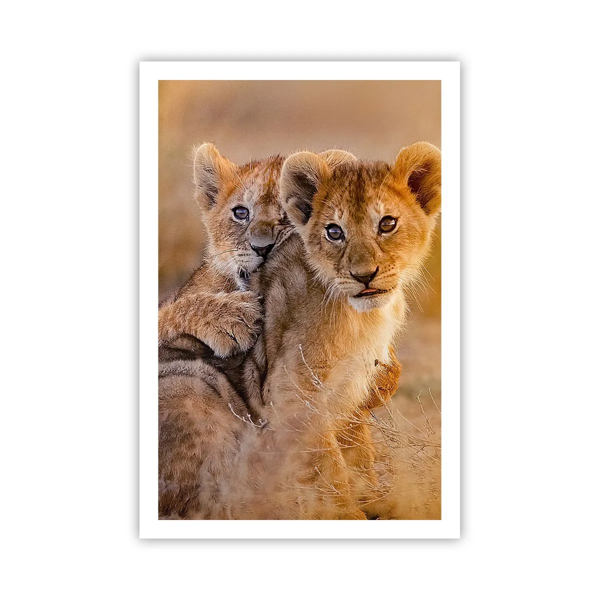 Plakat - Nie przeszkadzać! Bawimy się - 61x91 cm