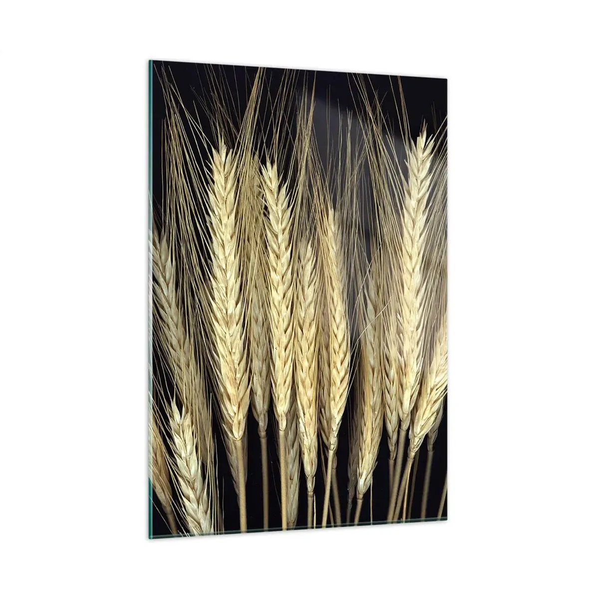 Obraz na szkle - Zboże w ciepłych tonacjach na czarnym tle - 50x70cm - Rustykalna magia - Nowoczesna dekoracja ścienna do salonu, kuchni i sypialni ARTTOR
