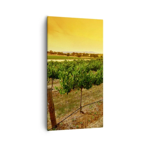 Obraz na płótnie - Napić się słońca - 55x100 cm