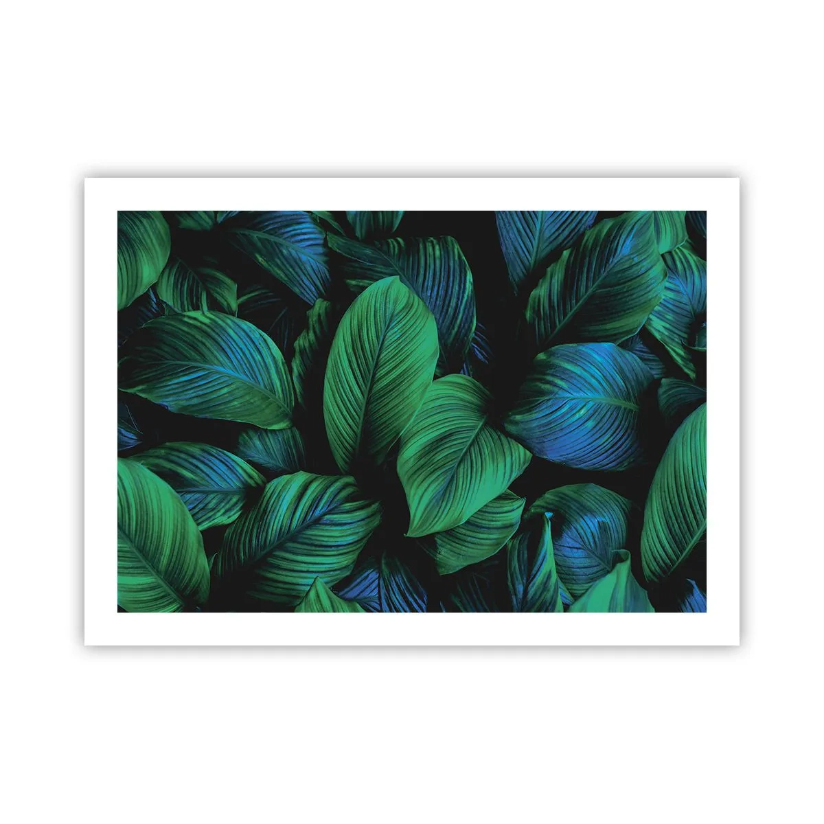 Plakat - W zielonym tłumie - 70x50 cm