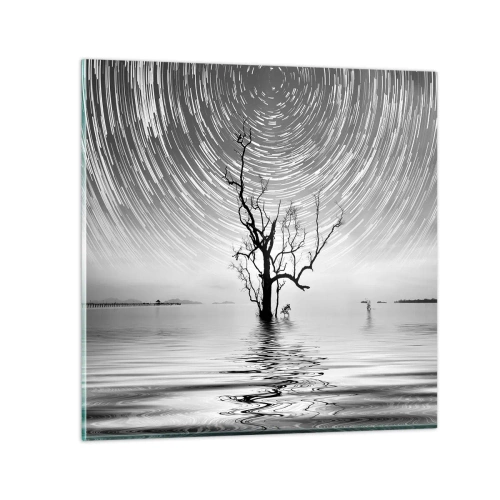 Obraz na szkle - Symfonia natury - 40x40 cm