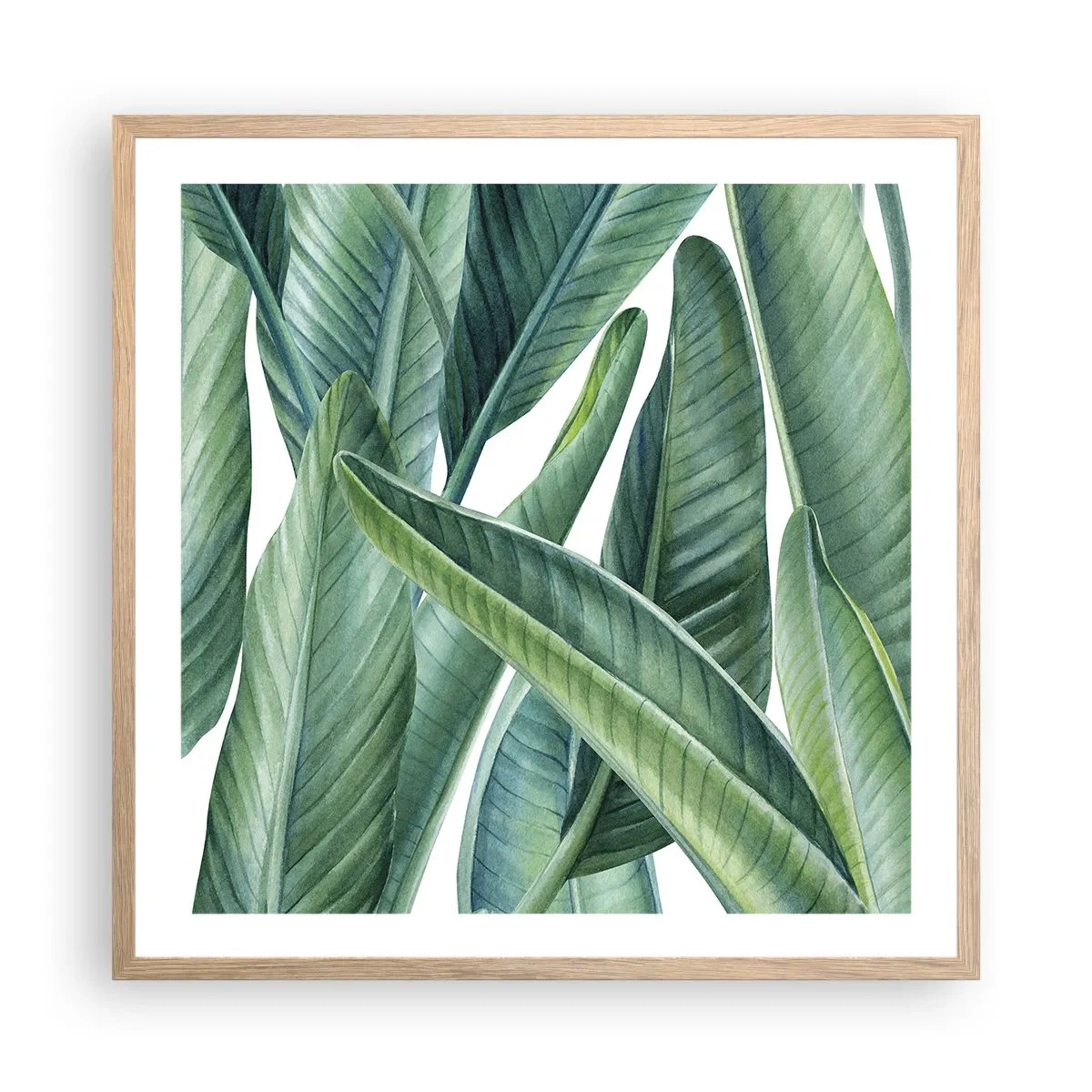 Plakat w ramie jasny dąb - Zieleń sama w sobie - 60x60 cm