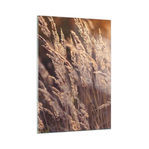 Obraz na szkle - Złociste trawy oświetlone promieniami zachodzącego słońca - 50x70cm - Gotowe na powitanie jesieni - Nowoczesna dekoracja ścienna do salonu, kuchni i sypialni ARTTOR