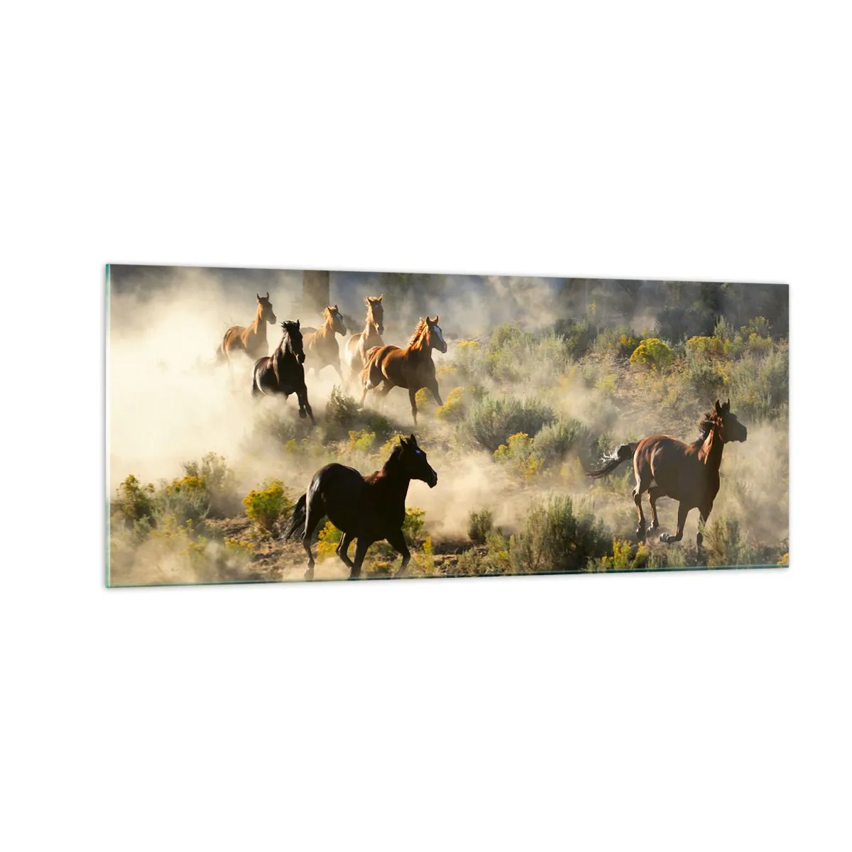 Obraz na szkle - Rywalizacja - wolność czy męska siła? - 100x40 cm