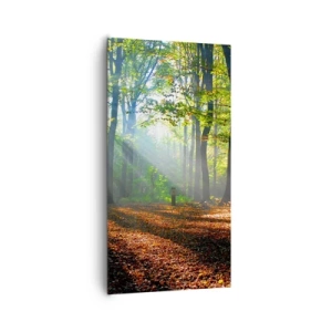 Obraz na płótnie - Blaski i cienie - 65x120 cm