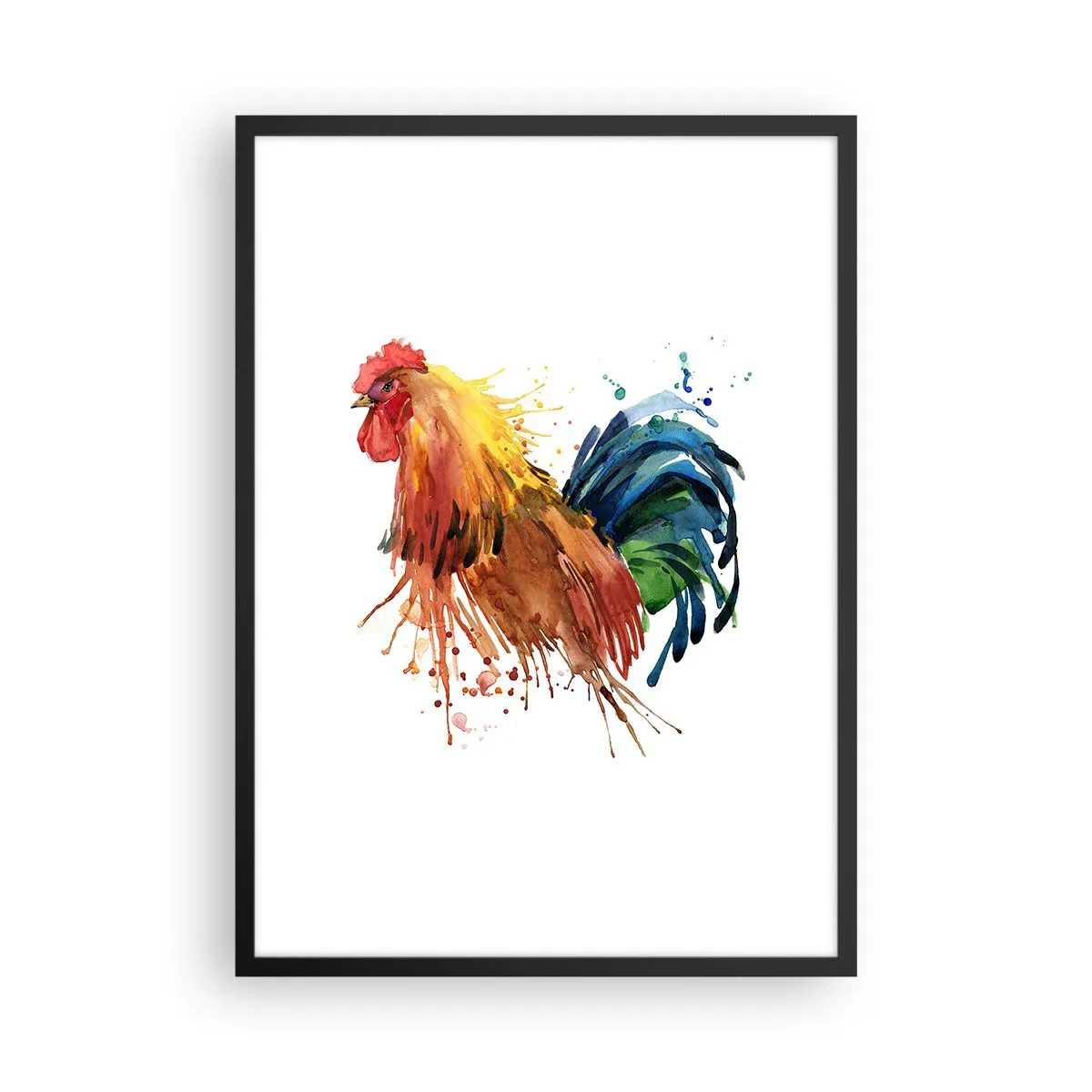 Plakat w czarnej ramie - Kolorowy kogut w stylu akwarelowym - 50x70cm - Królewska szata, królewska duma - Nowoczesna dekoracja ścienna do salonu i sypialni ARTTOR