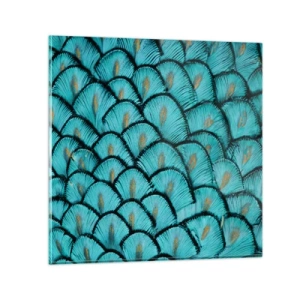 Obraz na szkle - Wielka gala piór - 50x50 cm