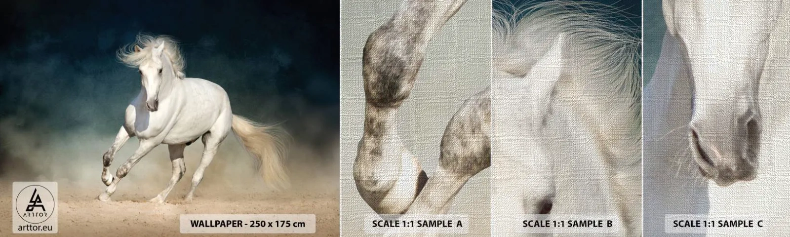 Fototapeta Próbka Premium Canvas - Wolność w stanie czystym - Koń, Zwierzę, Biały - 100x30 cm