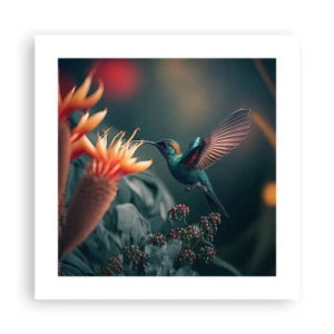 Plakat - naprawdę barwne życie - 40x40 cm
