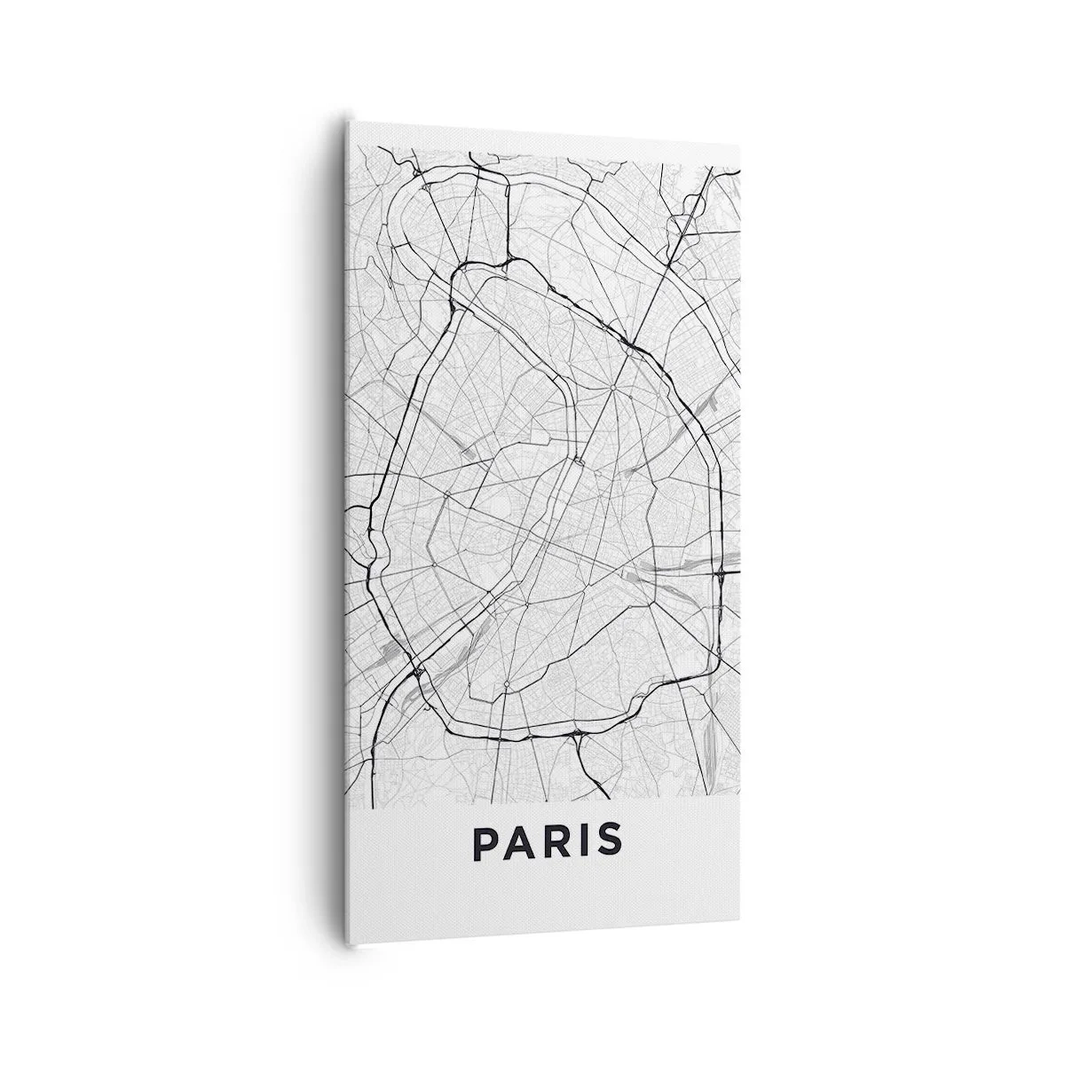 Obraz na płótnie - Kwiat Paryża - 65x120 cm