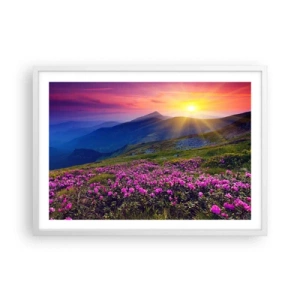 Plakat w białej ramie - … A dokoła pachnie kosodrzewina i wonieją zioła - 70x50 cm