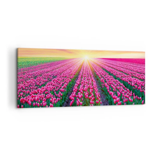 Obraz na płótnie - Farma piękności - 100x40 cm