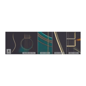 Fototapeta Próbka Premium Sand - Chwila zanim zabrzmi - Gitara, Muzyka, Struny - 100x30 cm