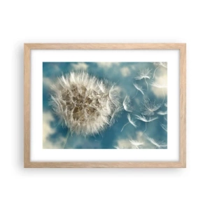 Plakat w ramie jasny dąb - Oddech anioła - 40x30 cm