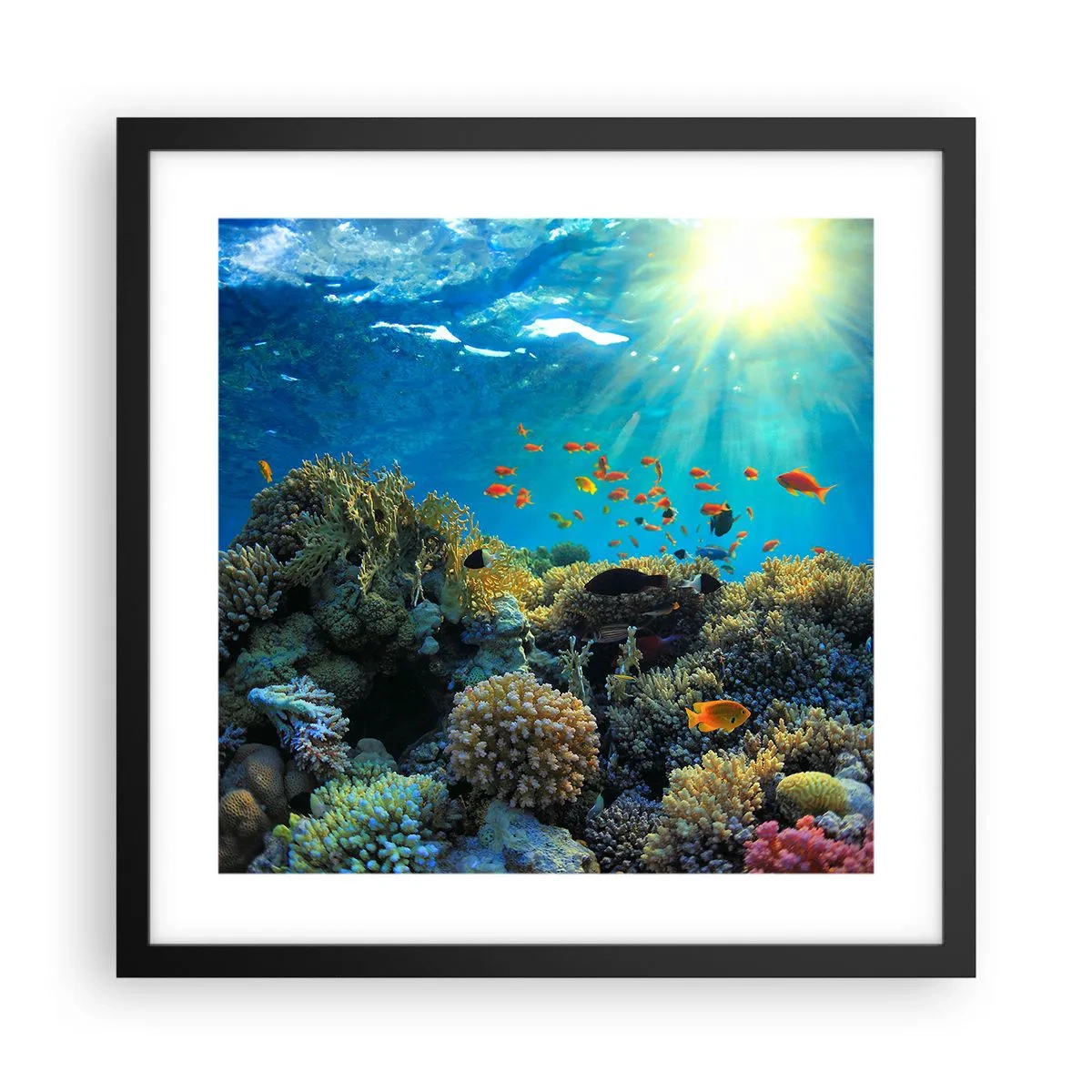 Plakat w czarnej ramie - Podwodne skarby - 40x40 cm