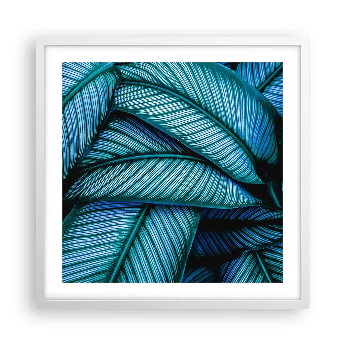 Plakat w białej ramie - Linie życia - 50x50 cm