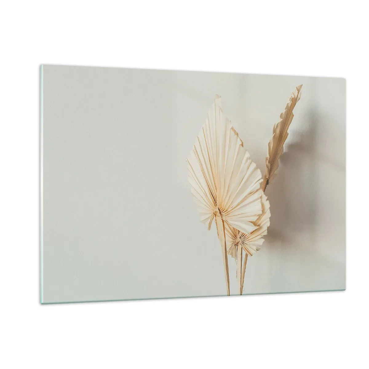 Obraz na szkle - Suszone liście palmowe w beżowej tonacji na jasnym tle - 120x80cm - Gdy potrzebne ukojenie - Nowoczesna dekoracja ścienna do salonu, kuchni i sypialni ARTTOR