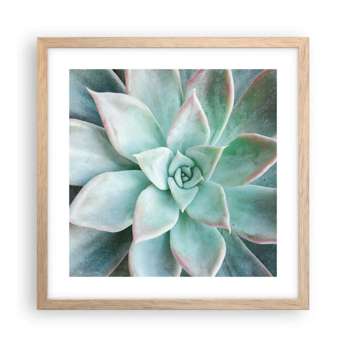 Plakat w ramie jasny dąb - Serce pustyni - 40x40 cm